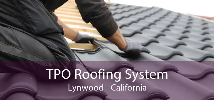 TPO Roofing System Lynwood - California